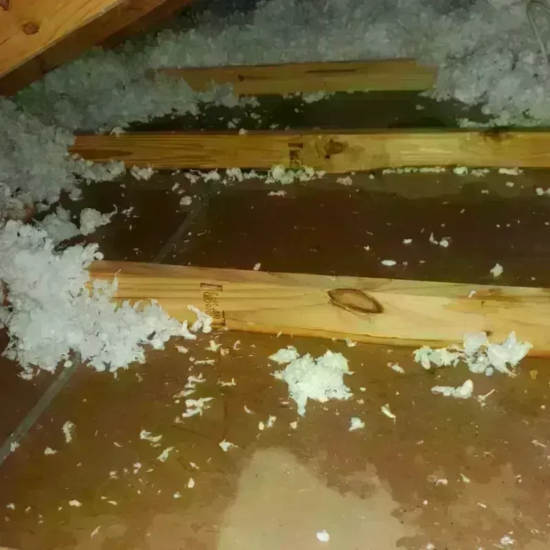 Attic Water Damage in Union, ME